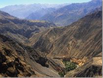 Ascend Travel's Arequipa Colca Canyon Trek 3d/2n Trekking