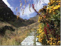 Ascend Travel's Inca Trail to Machu Picchu 4d/3n Travel Package
