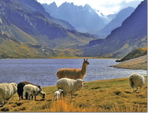 Ascend Travel's Lares Hot Springs and Machu Picchu 5d/4n Travel Package
