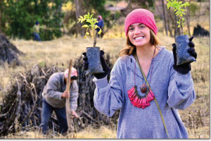 productive reforestation with native trees cusco peru humanitarian