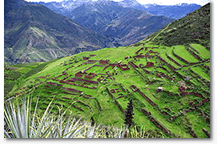 Andean rural tourism cooking workshop and nature hike to the ruins of Huchuy Qosqo